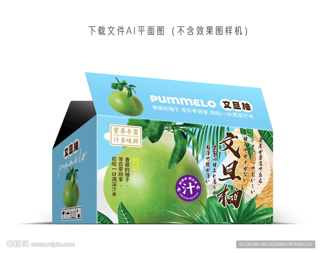 文旦柚彩箱