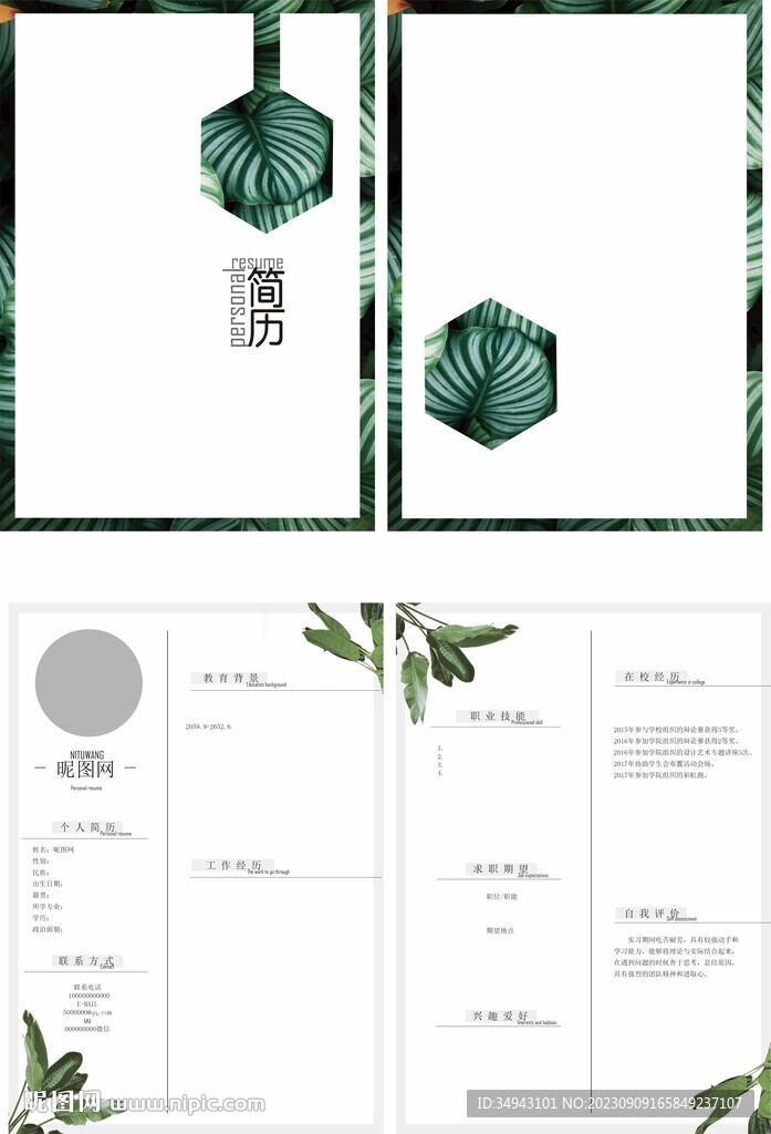 绿色植物简历模板