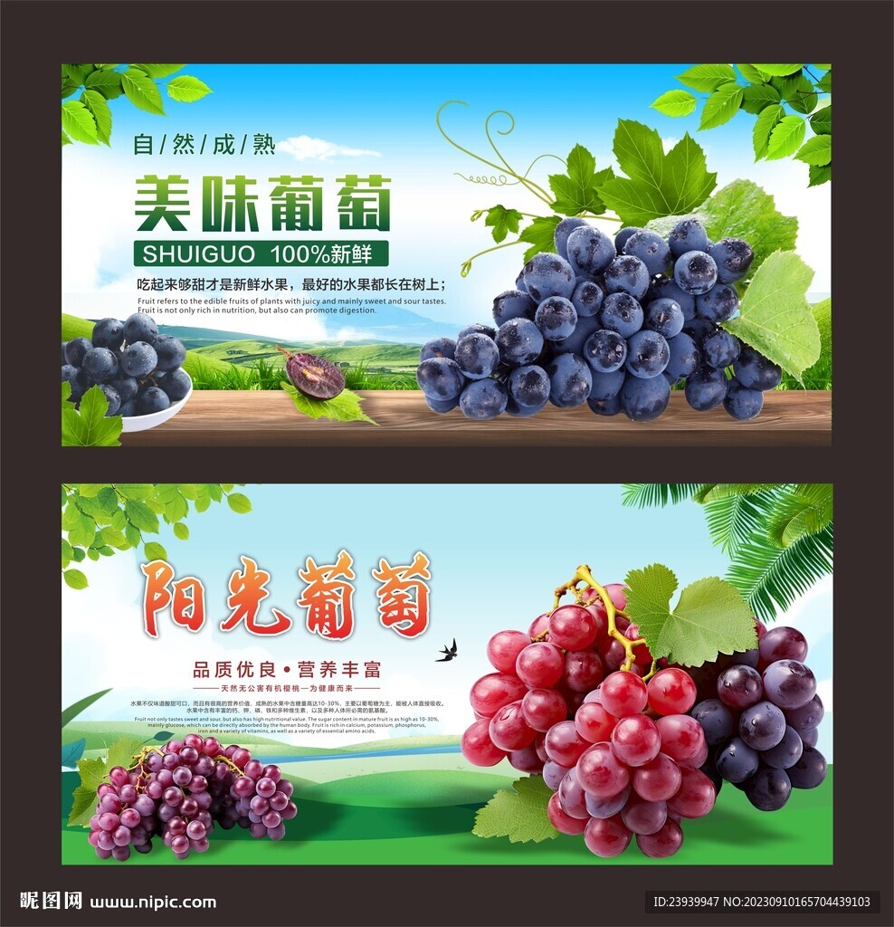 葡萄