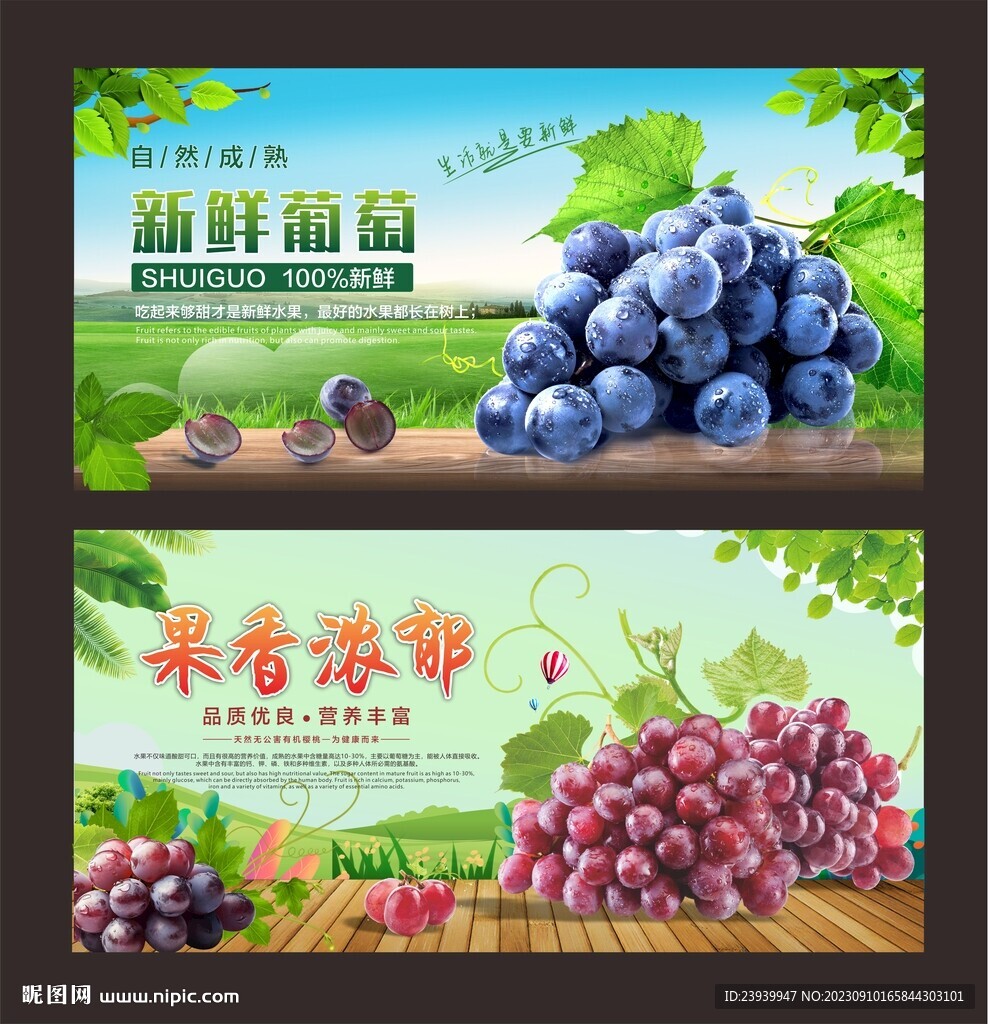 葡萄
