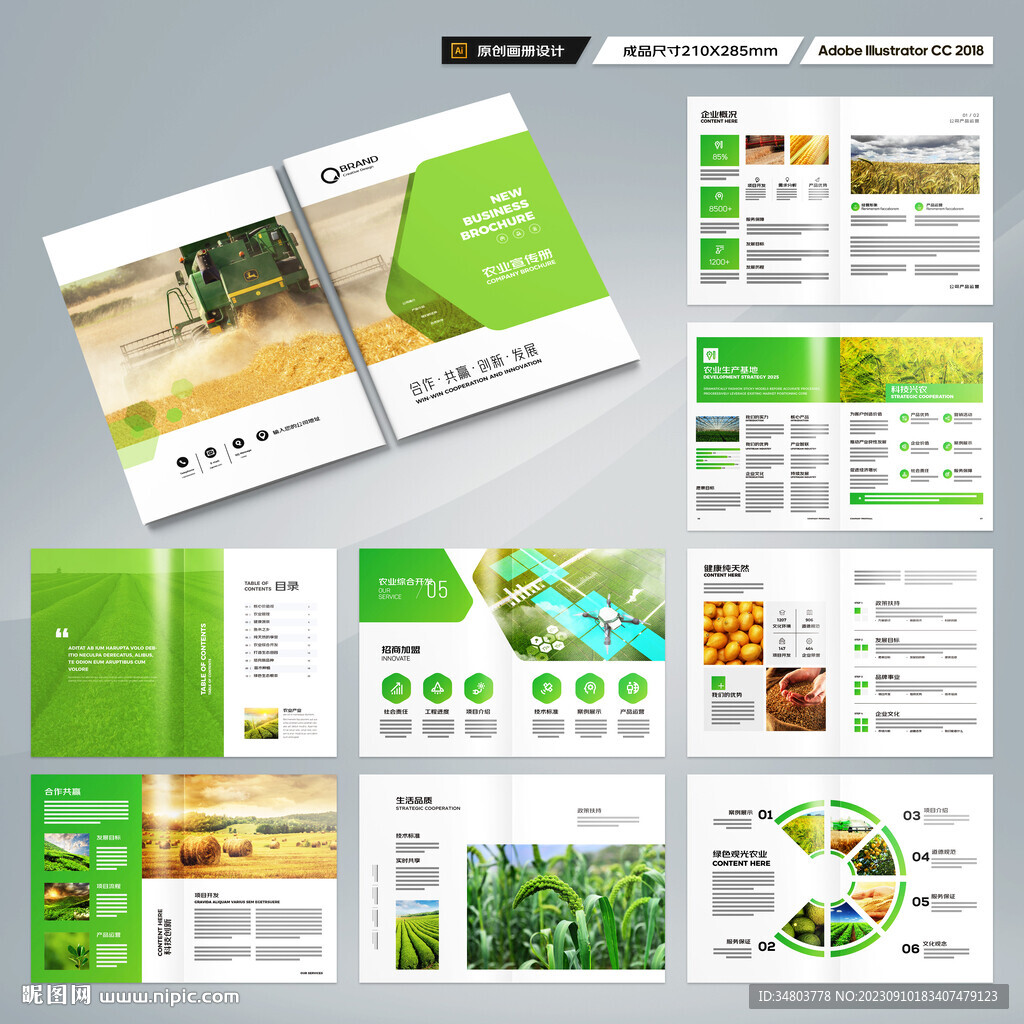 农产品画册