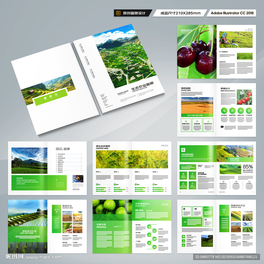 农业画册模板