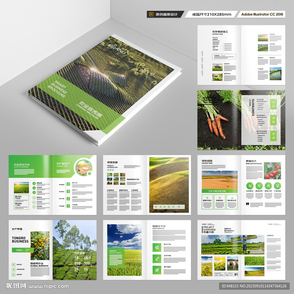 农业合作社画册