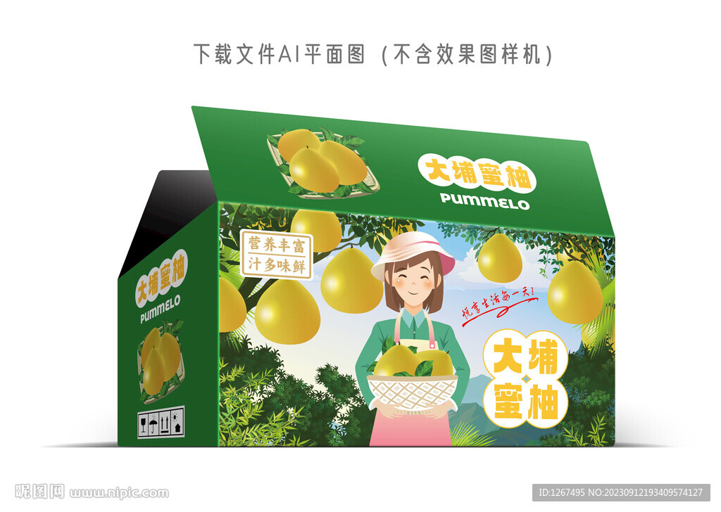 大埔蜜柚彩盒