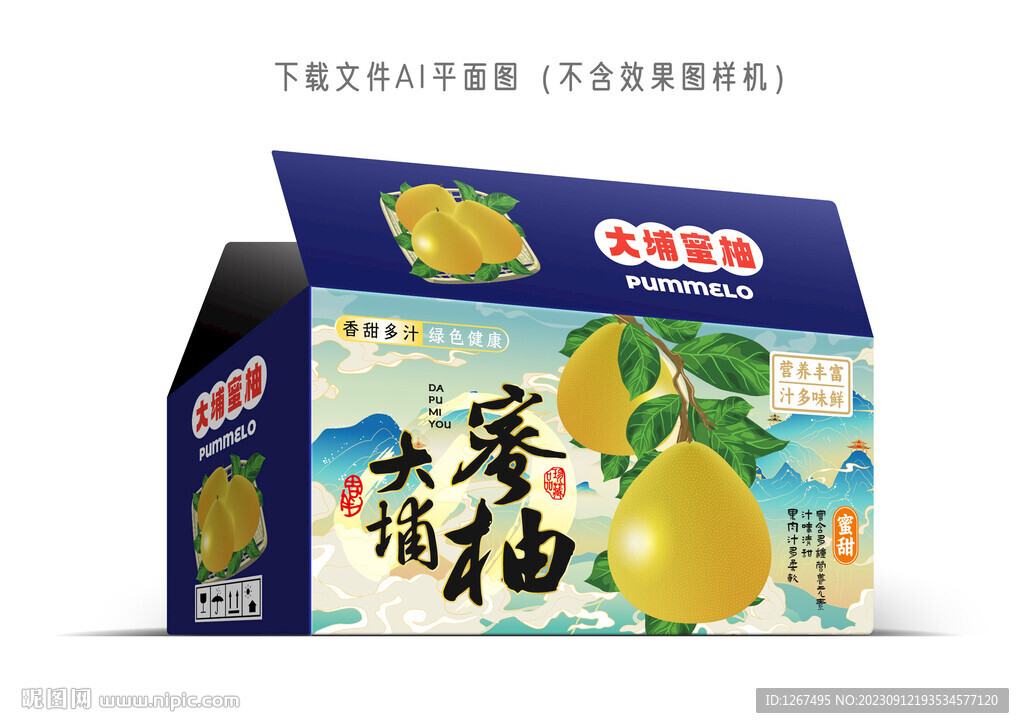 大埔蜜柚设计