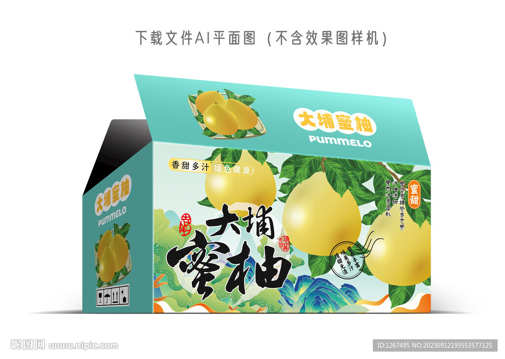 大埔蜜柚包装 