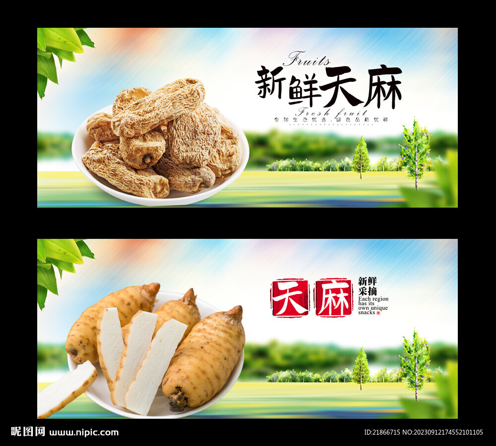天麻