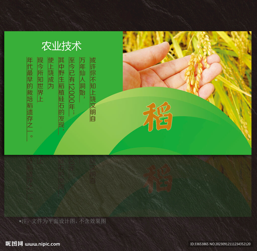 水稻展板