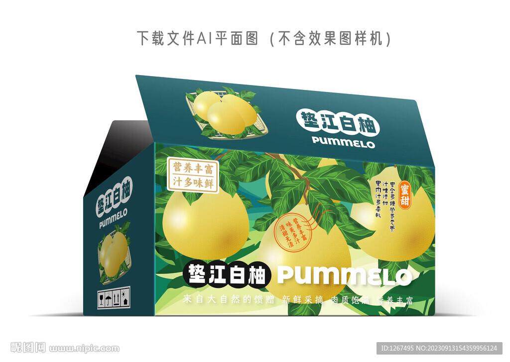 垫江白柚包装