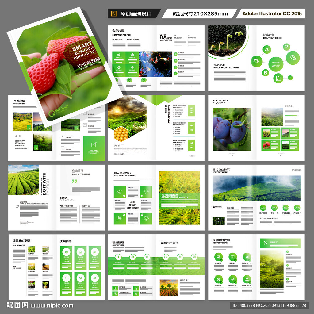 农业合作社画册