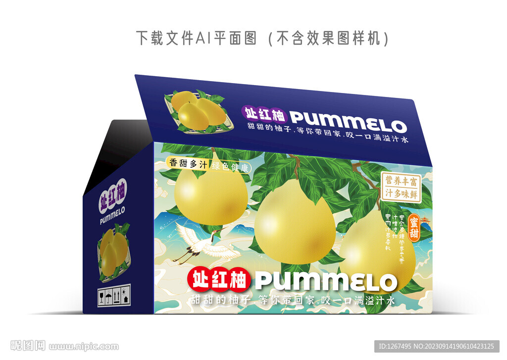 处红柚设计