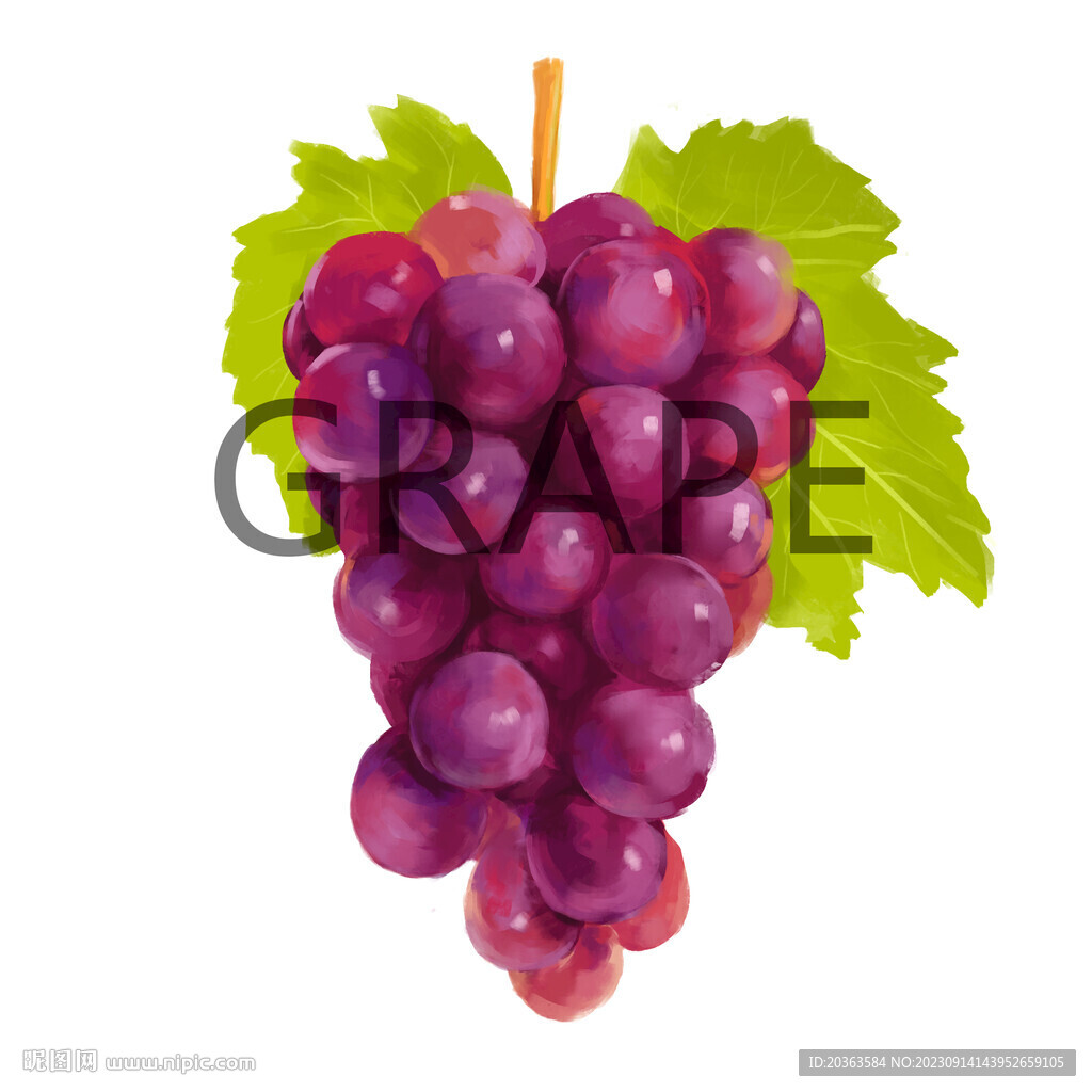 手绘葡萄