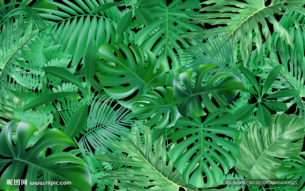 绿色树叶热带植物龟背叶背景墙