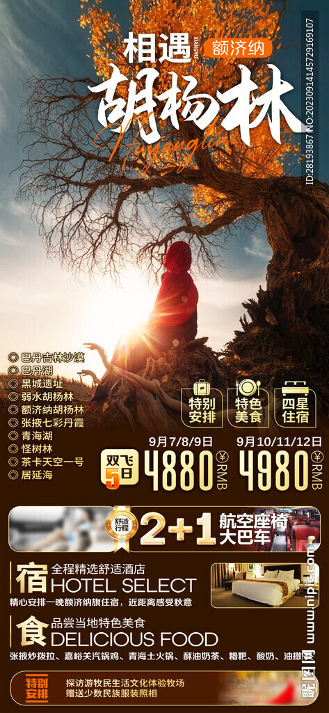 西北胡杨林旅游海报