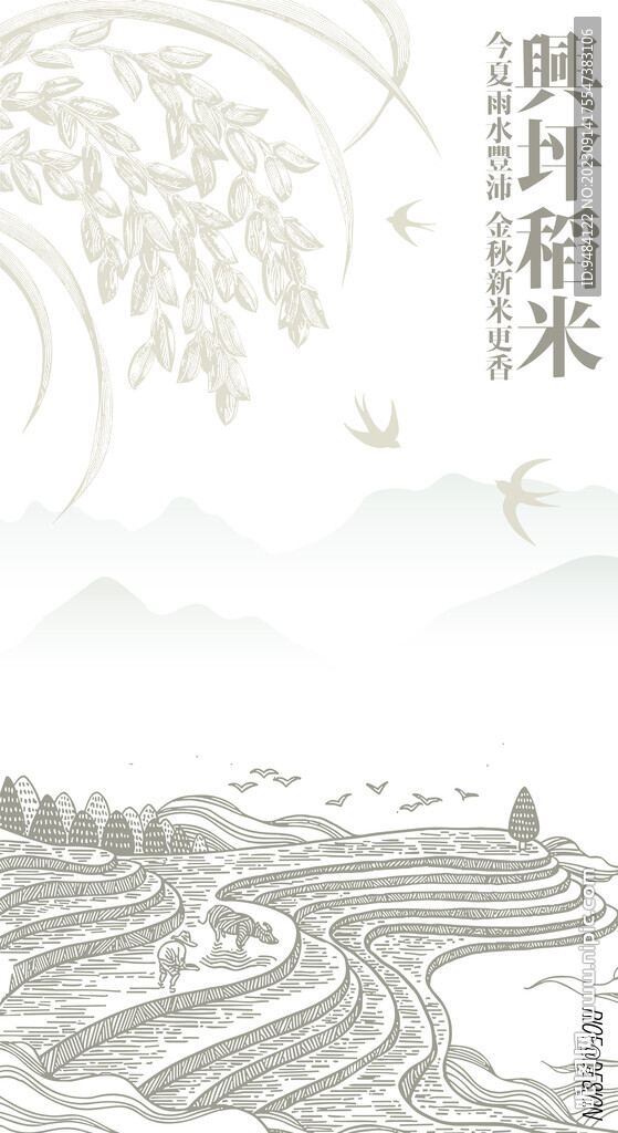 稻谷