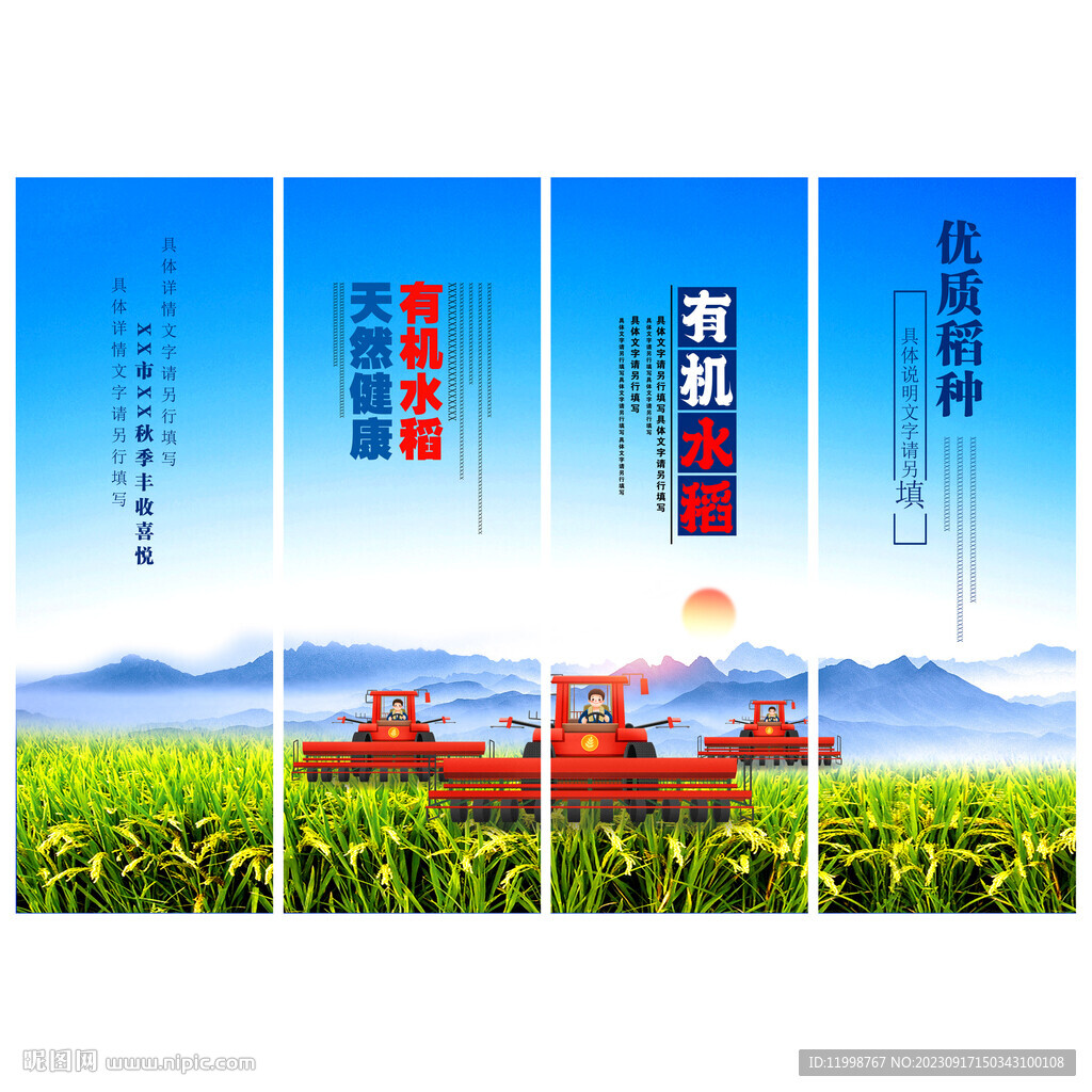 水稻