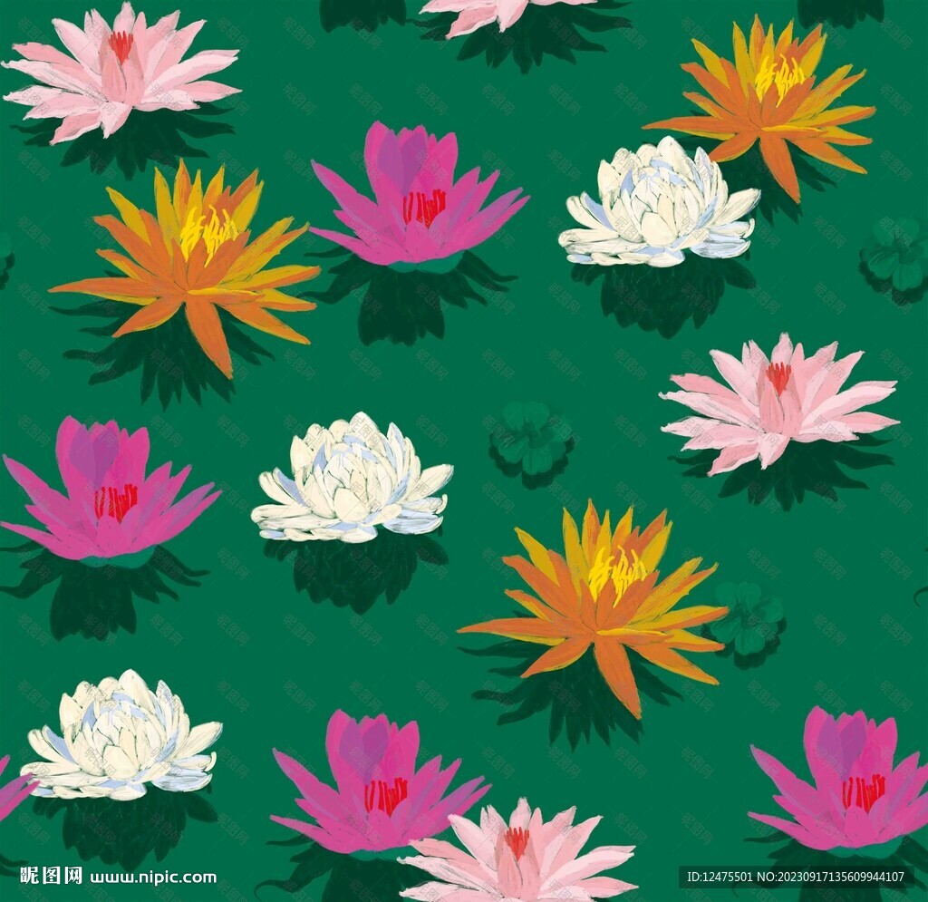 荷花