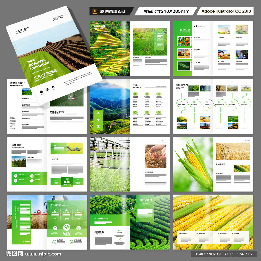 农业合作社画册