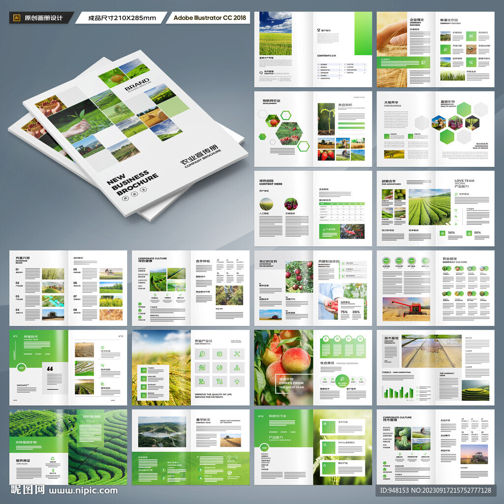 农产品画册
