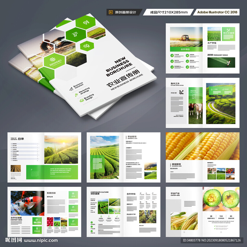 农产品画册