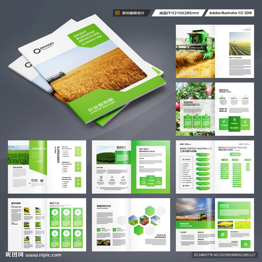 农产品宣传册
