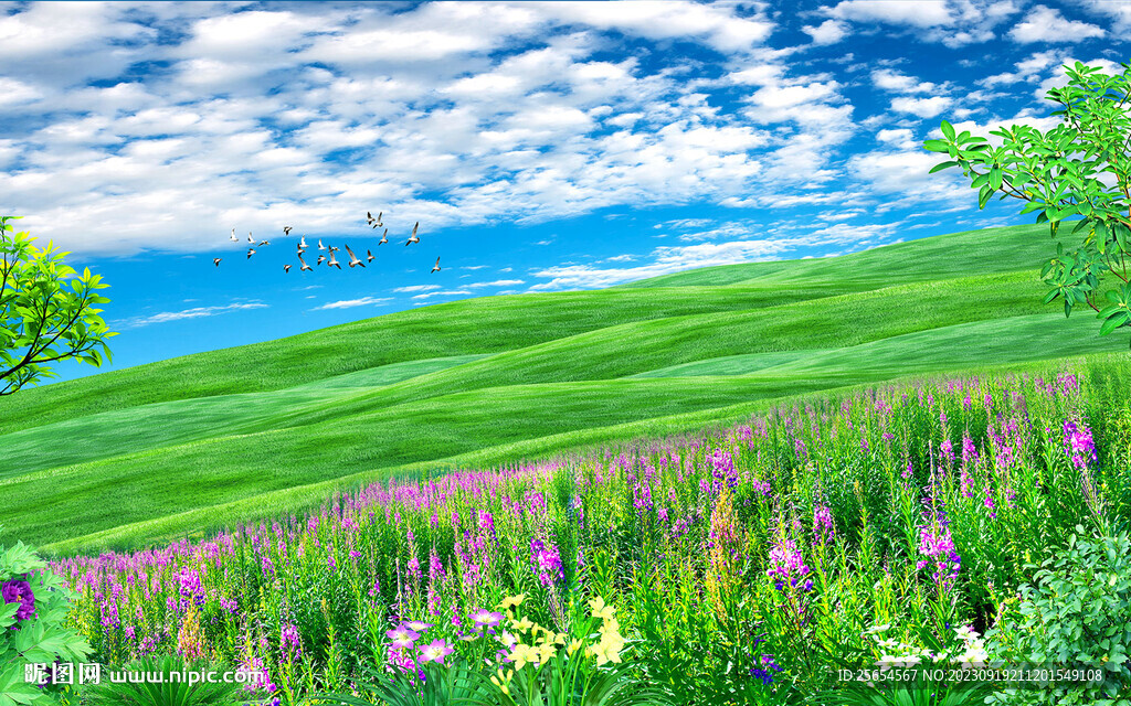 清新天空草地户外电视背景墙