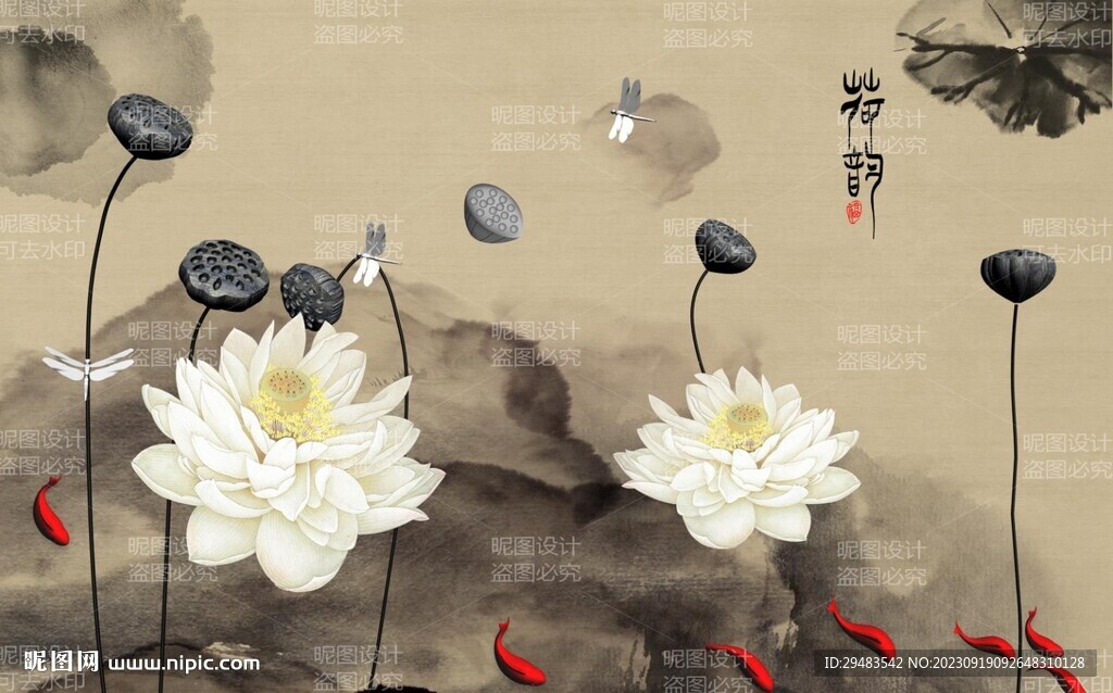 荷花