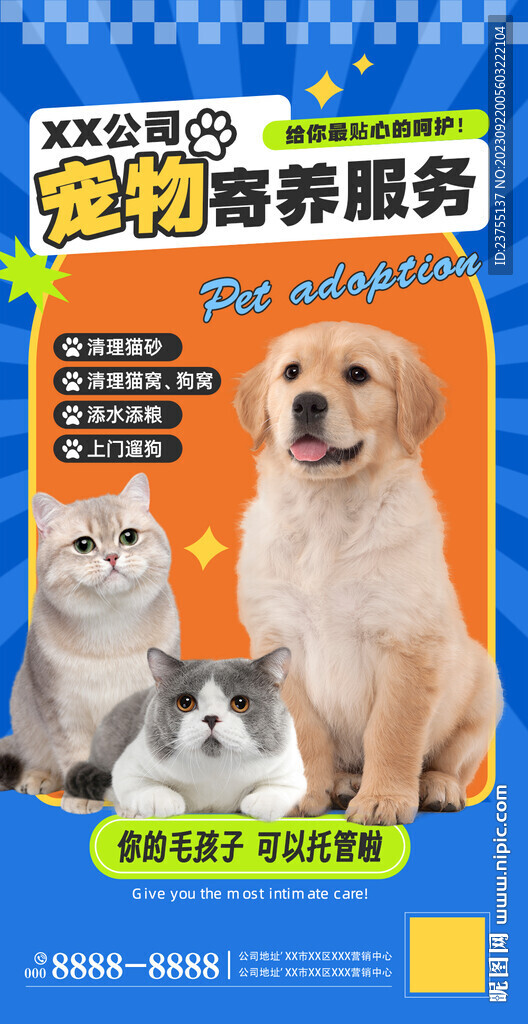 宠物店宠物寄养海报
