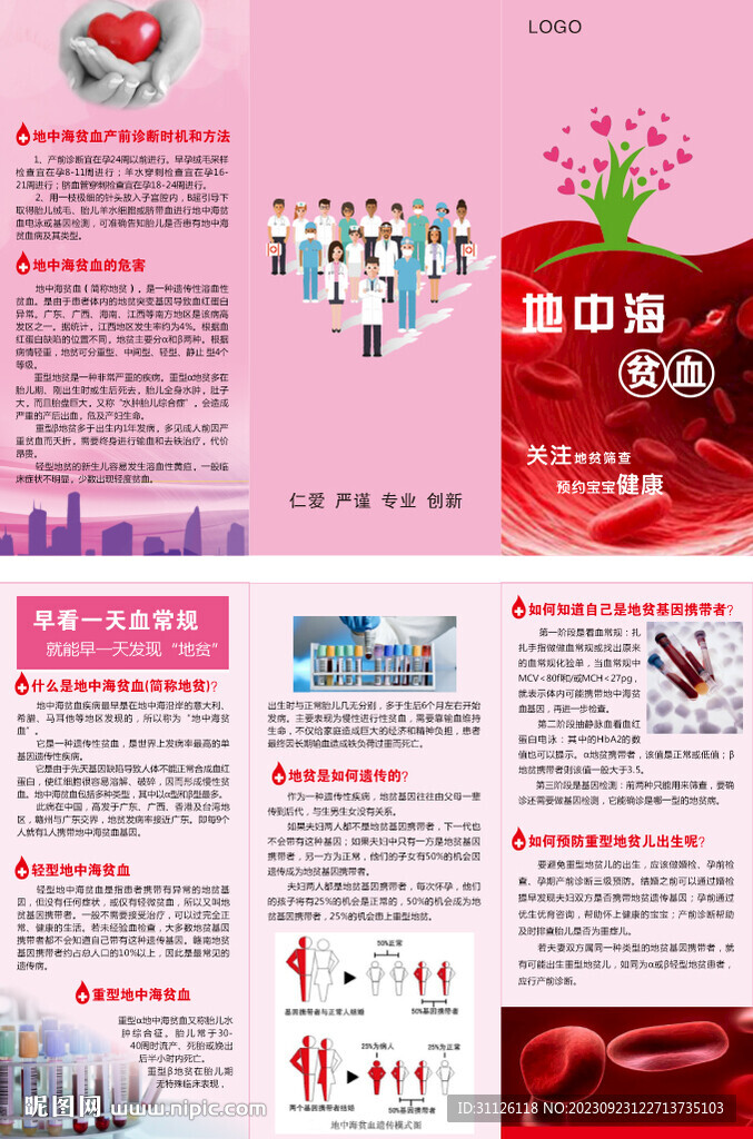 地中海贫血三折页