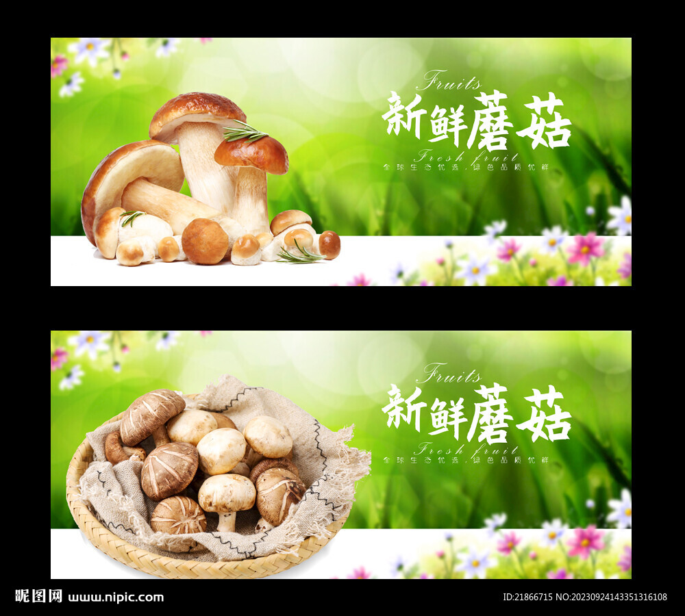 蘑菇
