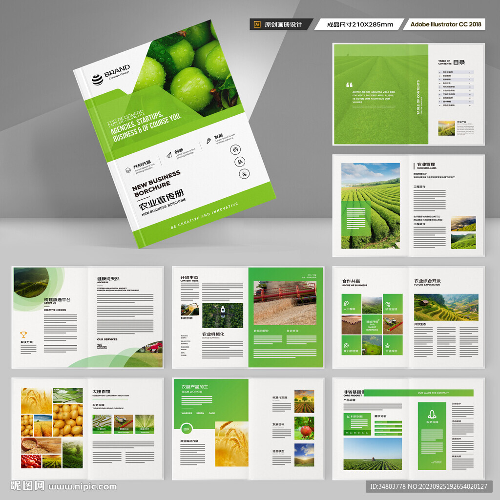 农业画册模板