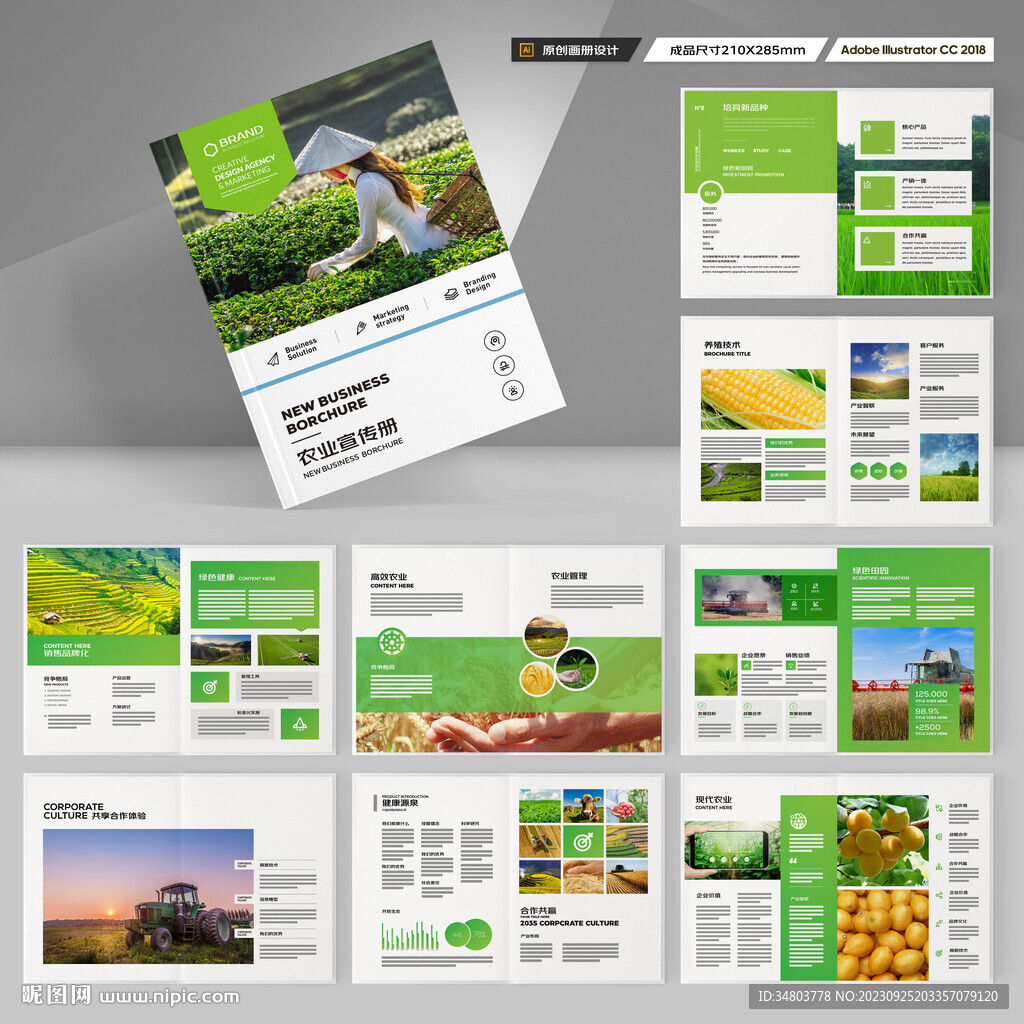 农业合作社画册