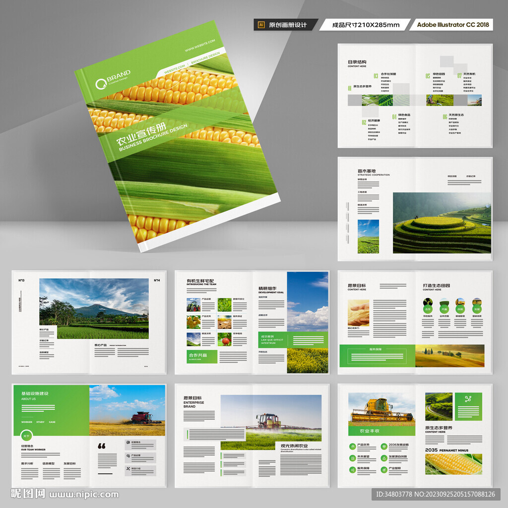 农业合作社画册