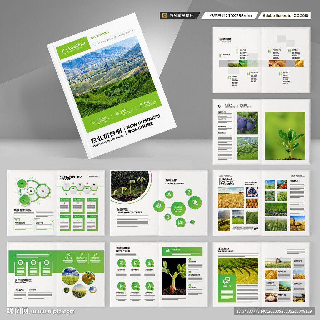 农产品宣传册