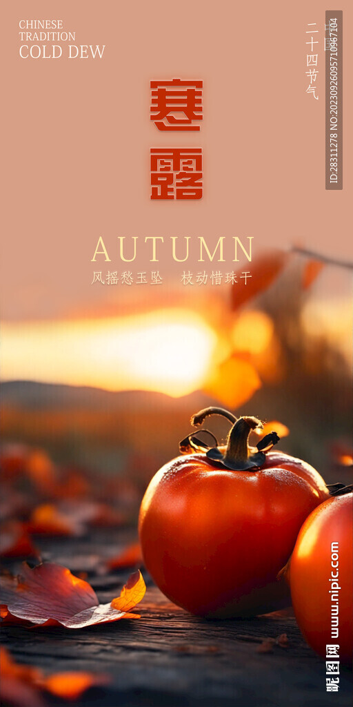 寒露节气图片