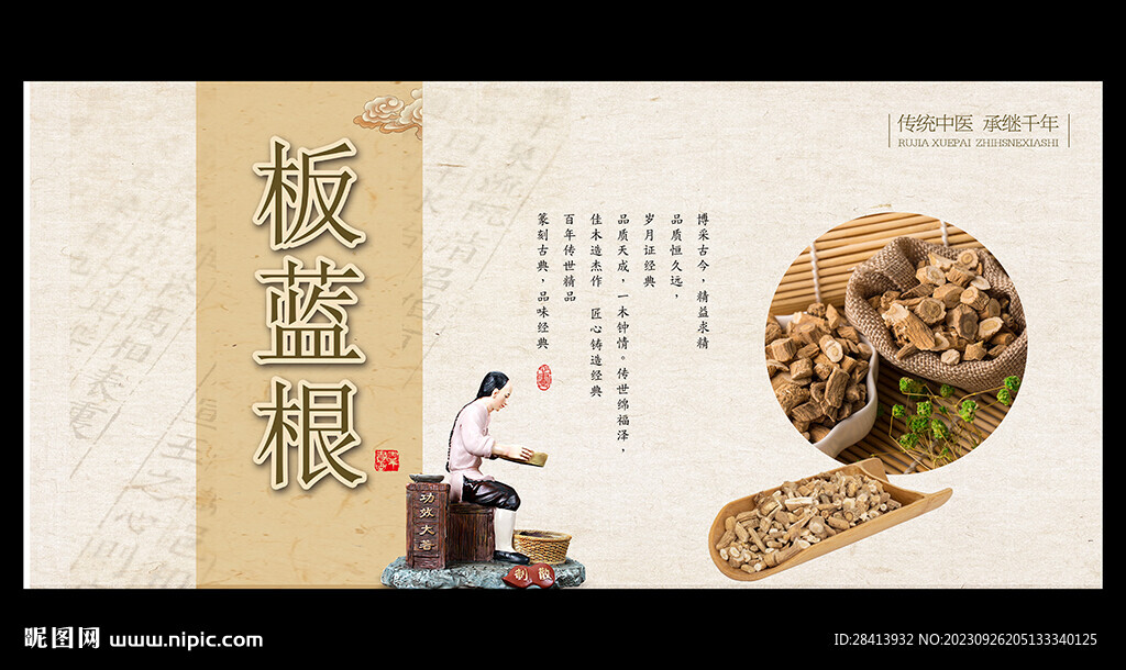 板蓝根