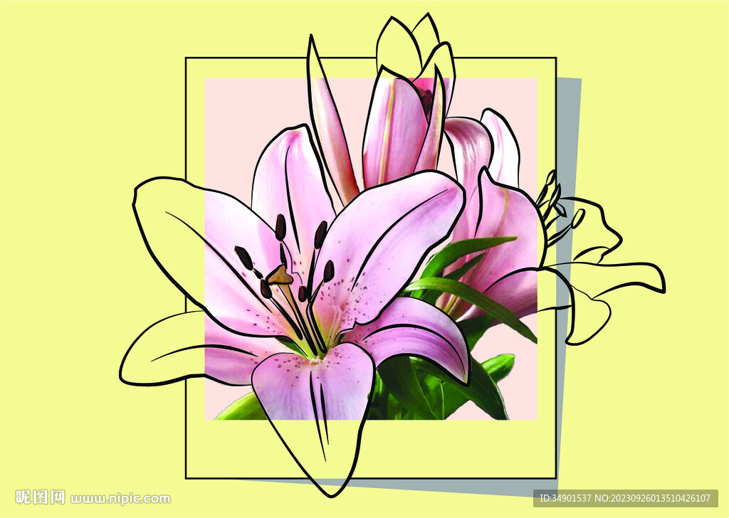 百合花