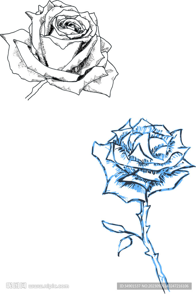 玫瑰花纹身图样