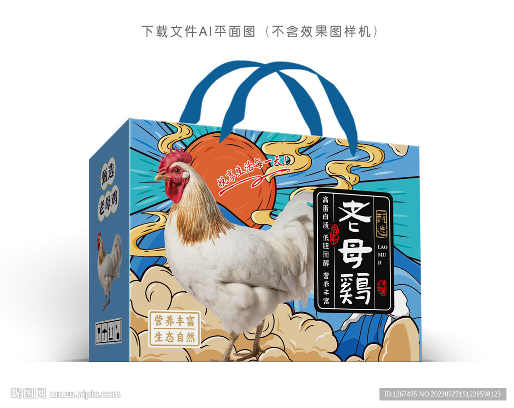 老母鸡设计