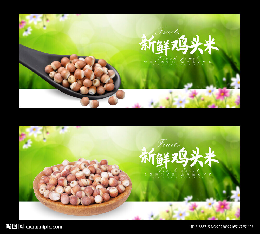 鸡头米
