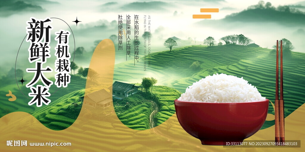 有机大米粮食展板