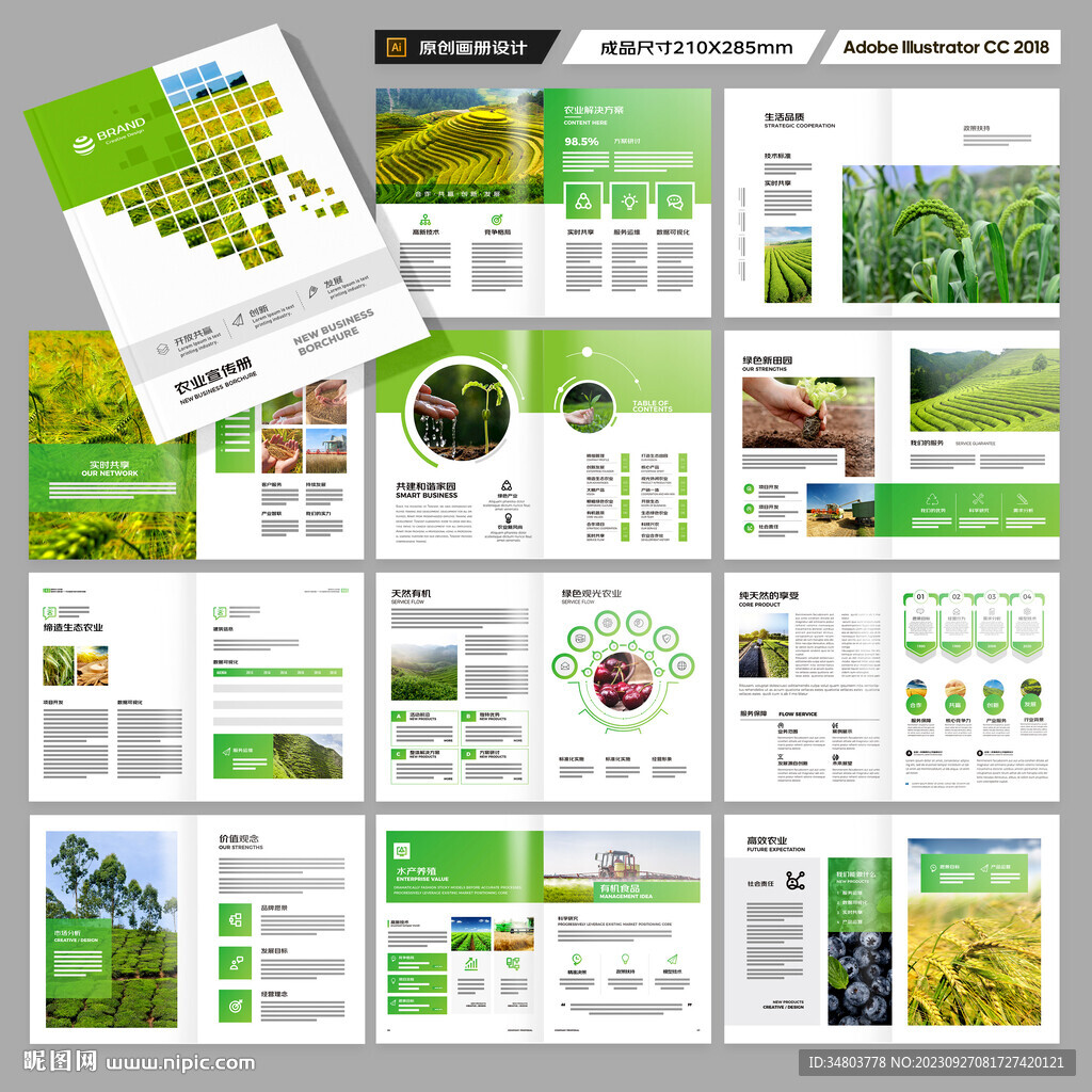 农业画册模板