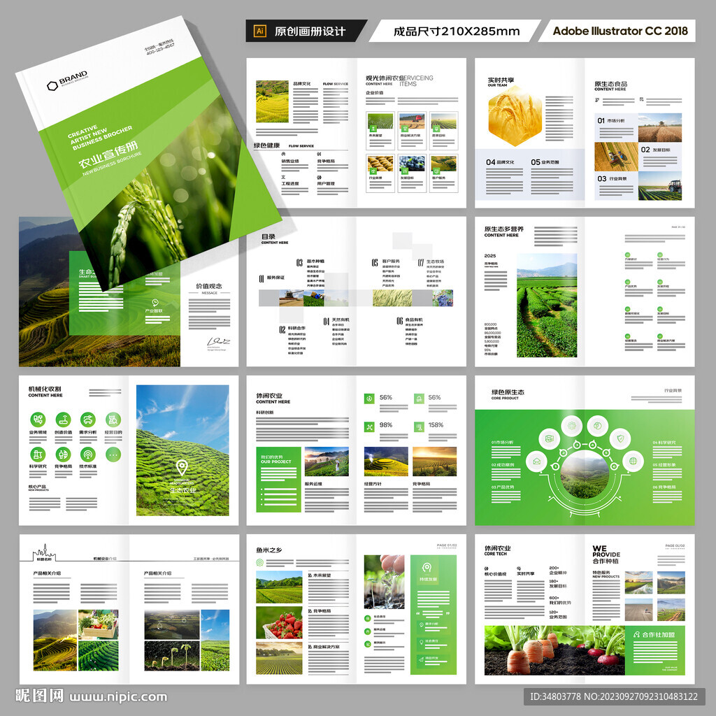 农业合作社画册