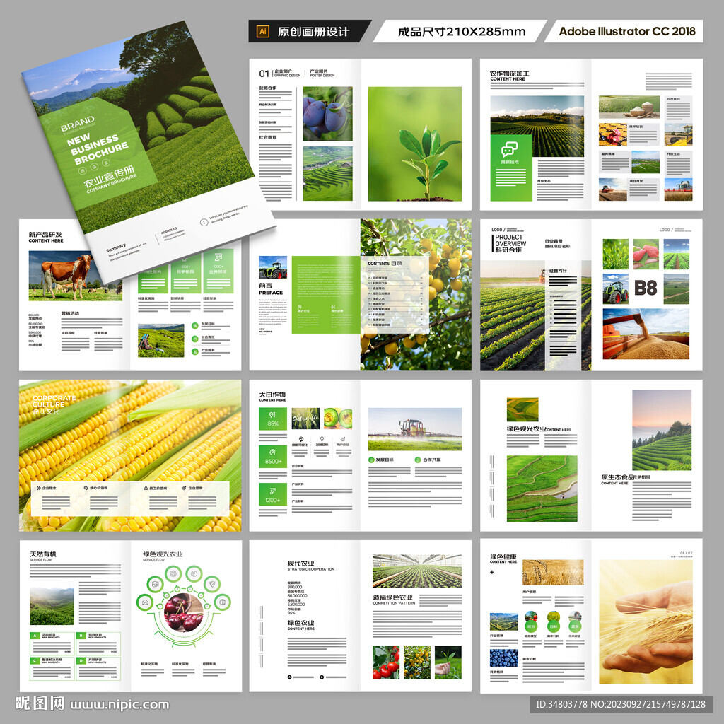 农产品画册