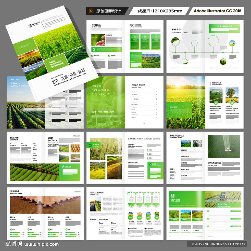 农产品宣传册