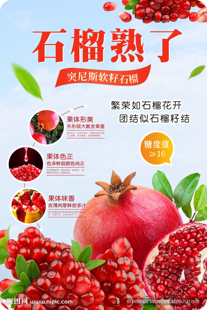 石榴店教
