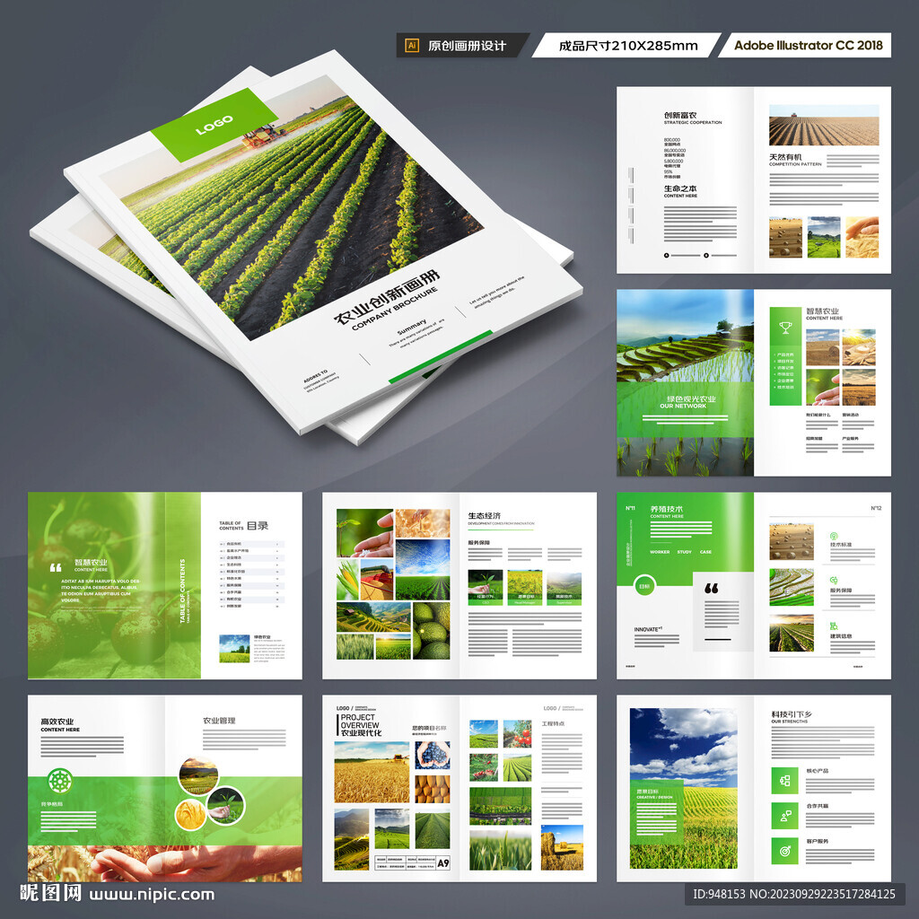 农产品宣传册