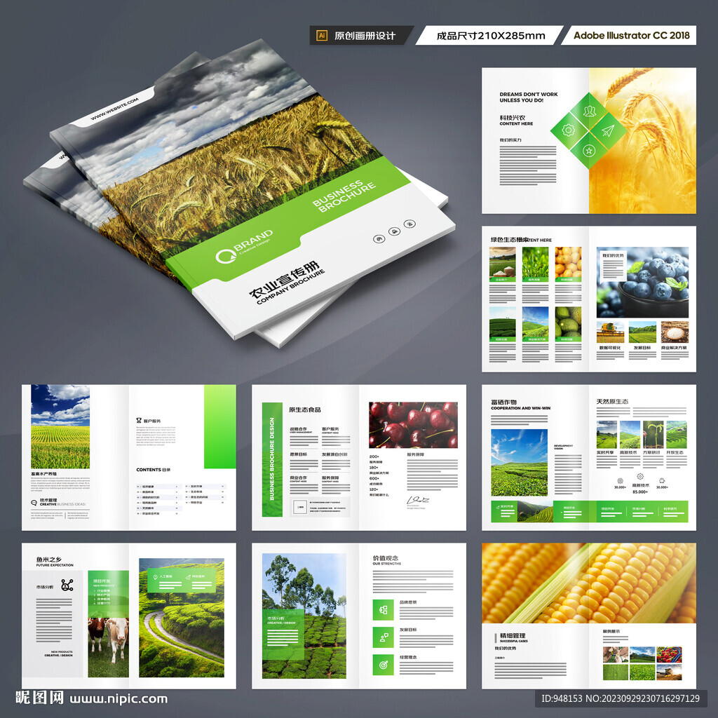 农业合作社画册