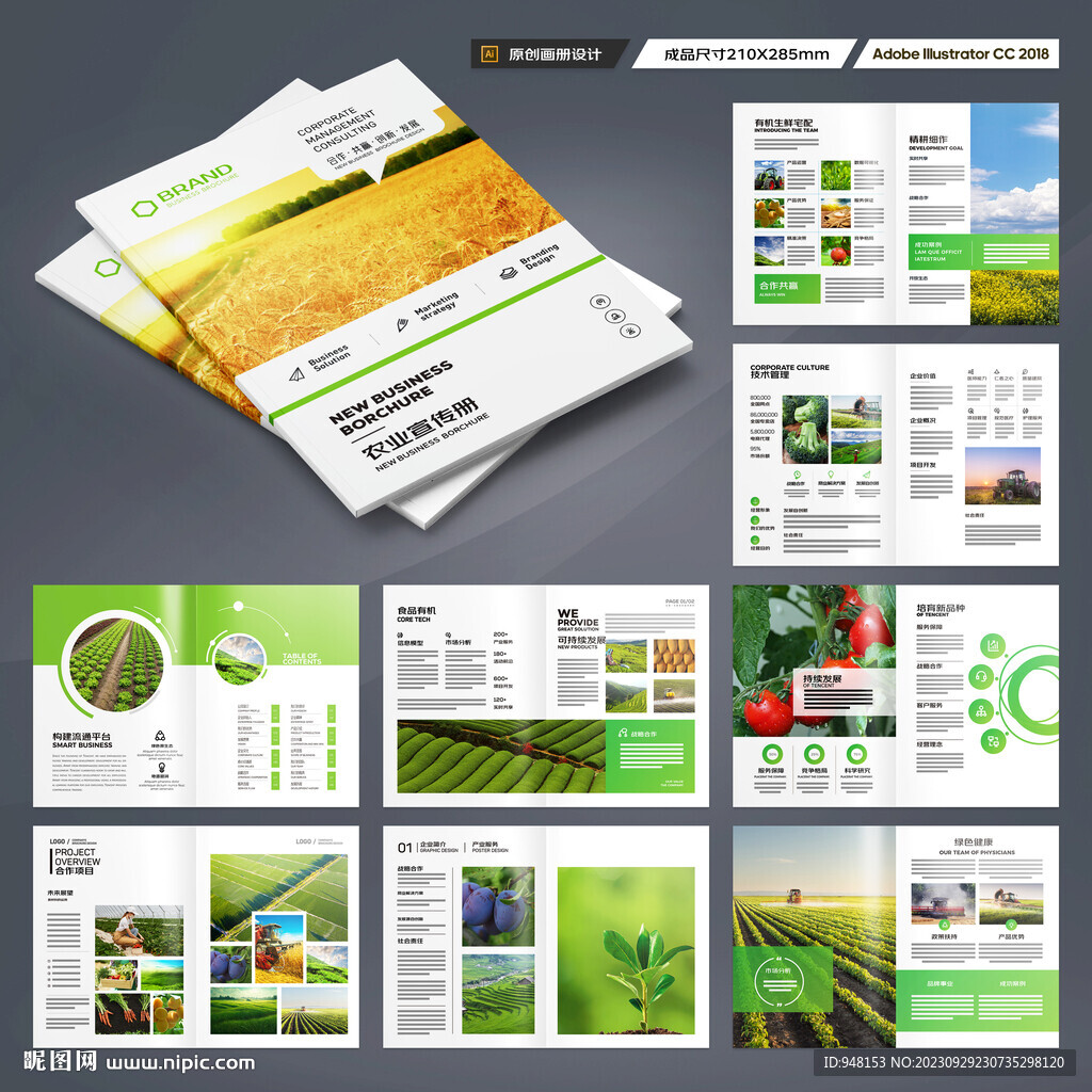 农产品画册