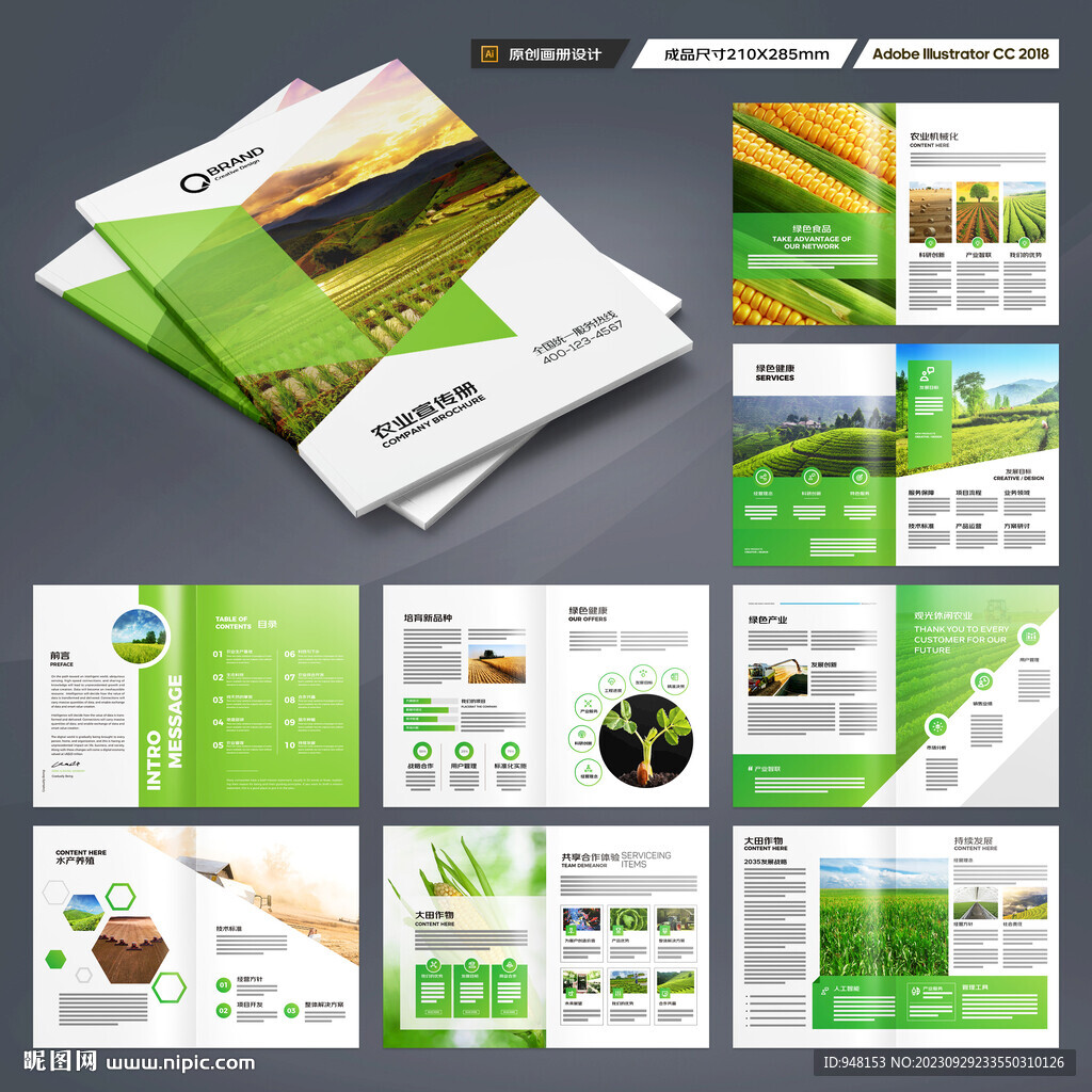 农产品画册